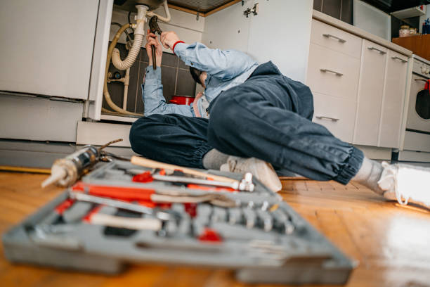 Best Water Softener Installation  in Country Squire Lakes, IN